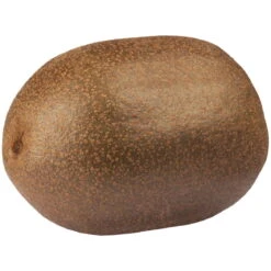 Gelbfruchtige Kiwi 'Golden Kiwi', 2er-Set, Topf 15 Cm Ø -Stilvoller Gartenbedarfsladen 0480960140 0480960142 Golden Kiwi 87664