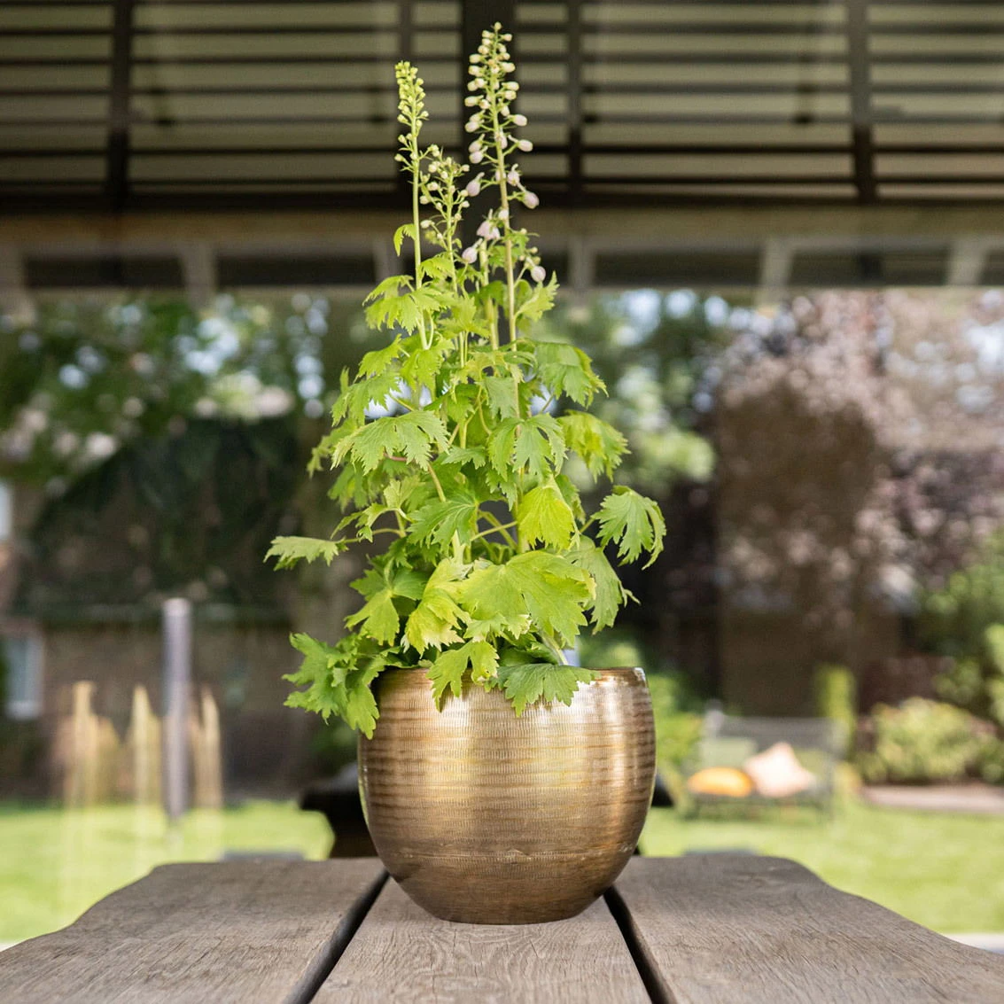 Pflanzgefäß 'Rowen', Gold, Ø 31 X H 28 Cm 3 Pflanzgefäß 'Rowen', Gold, Ø 31 X H 28 Cm