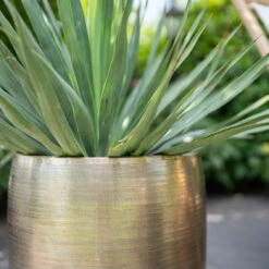 Pflanzgefäß 'Rowen', Gold, Ø 42 X H 41 Cm -Stilvoller Gartenbedarfsladen 3210801622 Pflanzgefaess Rowen gold D 42 x H 41 cm 2 114989