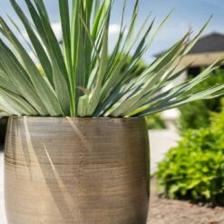 Pflanzgefäß 'Rowen', Gold, Ø 42 X H 41 Cm -Stilvoller Gartenbedarfsladen 3210801622 Pflanzgefaess Rowen gold D 42 x H 41 cm 4 114991