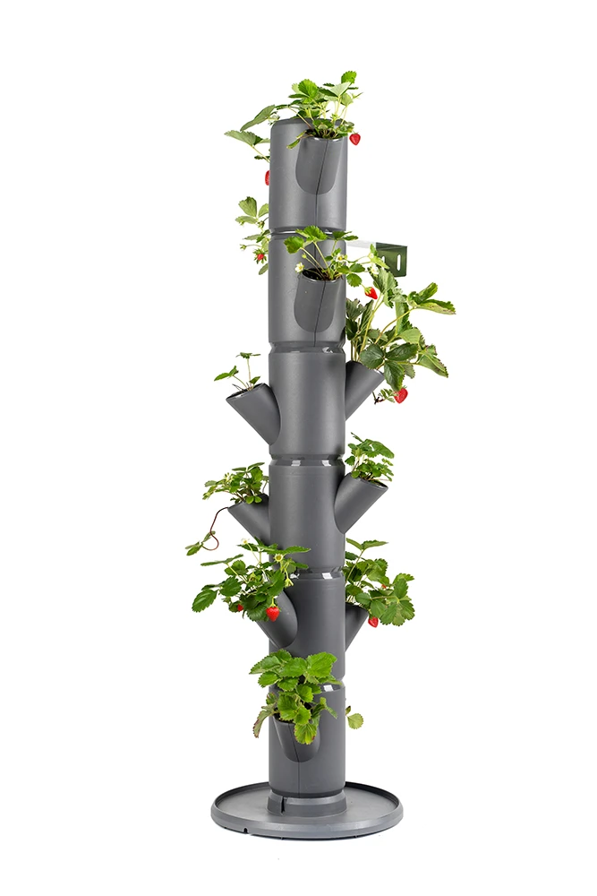 Sissi Strawberry Erdbeerturm Classic Anthrazit (6 Etagen) | Erdbeertürme Von Gusta Garden 8 Sissi Strawberry Erdbeerturm Classic Anthrazit (6 Etagen) | Erdbeertürme Von Gusta Garden – Bild 6