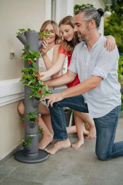 Sissi Strawberry Erdbeerturm Classic Anthrazit (6 Etagen) | Erdbeertürme Von Gusta Garden 11 Sissi Strawberry Erdbeerturm Classic Anthrazit (6 Etagen) | Erdbeertürme Von Gusta Garden -Stilvoller Gartenbedarfsladen 543340 Sissy Strawberry classic anthrazit 6 Etagen 4