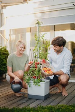 Tom Tomato Tomatentopf Hellgrau | Tomatentöpfe Von Gusta Garden -Stilvoller Gartenbedarfsladen 547957 Tom Tomato Hellgrau 6