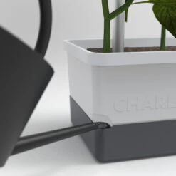 Charly Chili Chilitopf Hellgrau | Chilitöpfe Von Gusta Garden -Stilvoller Gartenbedarfsladen 548628 Charly Chili Chilitopf hellgrau 100710 gg 3