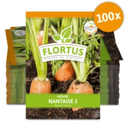 Möhre Nantaise 2 (100 Stück) | Möhrensamen Von FLORTUS -Stilvoller Gartenbedarfsladen 549855 Moehre Nantaise 2 100 Stueck 2000 0472 100x 0