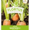Möhre Nantaise 2 (100 Stück) | Möhrensamen Von FLORTUS 1 Möhre Nantaise 2 (100 Stück) | Möhrensamen Von FLORTUS -Stilvoller Gartenbedarfsladen 549855 Moehre Nantaise 2 100 Stueck 2000 0472 100x 1