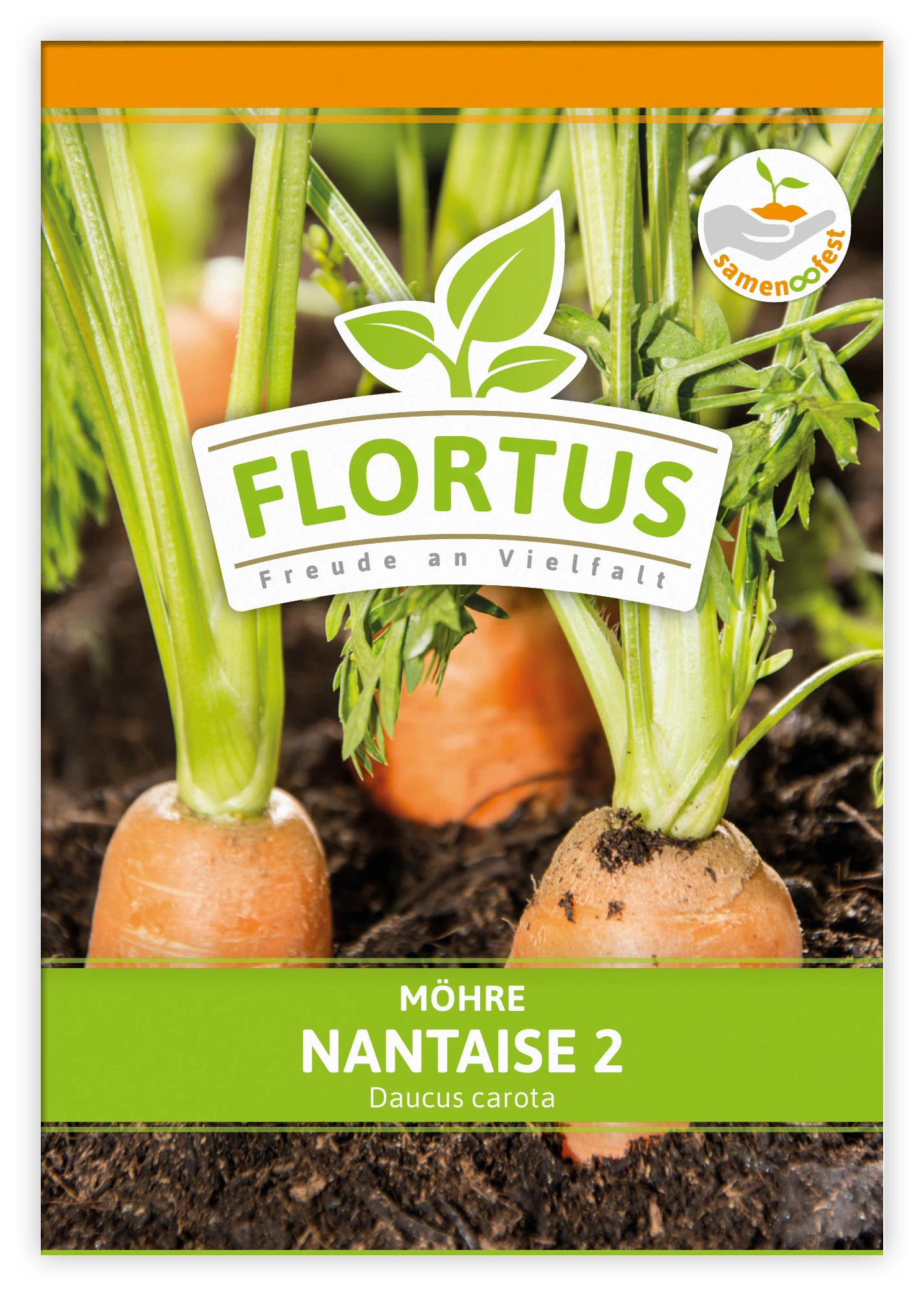 Möhre Nantaise 2 (100 Stück) | Möhrensamen Von FLORTUS