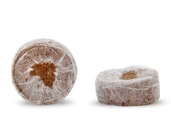 Kokos Quelltöpfe (1155 Stück) | BIO Kokos Quelltöpfe Von Jiffy