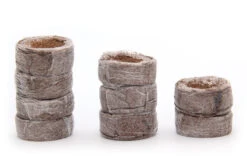 Kokos Quelltöpfe (1155 Stück) | BIO Kokos Quelltöpfe Von Jiffy -Stilvoller Gartenbedarfsladen 551968 BIO Kokos Quelltoepfe 1155 Stueck 63170030 jf 2