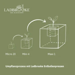 Erdballenpressen Maxi Set | Erdtopfpressen Von Ladbrooke Soil Blockers -Stilvoller Gartenbedarfsladen 556238 Erdballenpressen Maxi Set 2000 0981 5