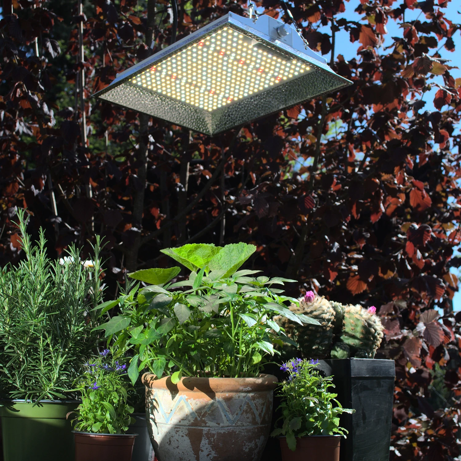 LED Pflanzenlampe Floris | LED Pflanzenlampen Von Neusius 3 LED Pflanzenlampe Floris | LED Pflanzenlampen Von Neusius